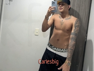 carlesbig Kachou Fuzoku