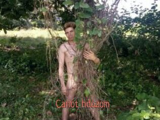 Carlot_hdozom