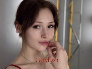Carrybush