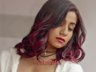 Catalinafox