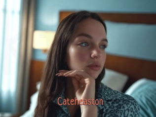 Cateheaston