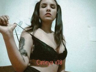 Catleya_x18