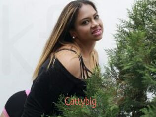 Cattybig