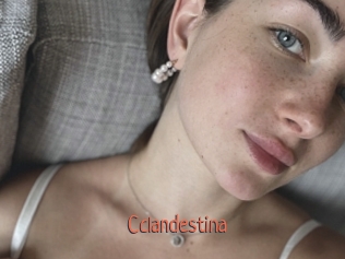 cclandestina Kachou Fuzoku