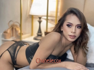 chanellecox Kachou Fuzoku