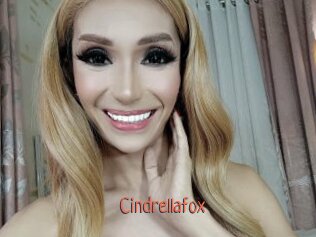 Cindrellafox