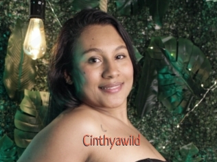 cinthyawild Kachou Fuzoku