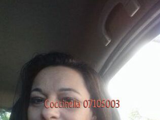 Coccinella-07105003