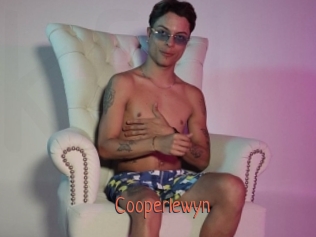 Cooperlewyn