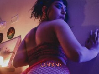 Cosmosis