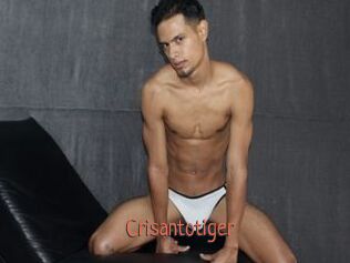 Crisantotiger