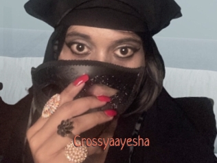 crossyaayesha Kachou Fuzoku