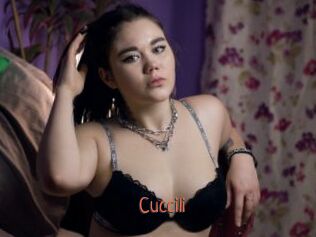 Cuccili