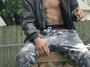 Day1DOG