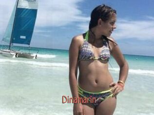 Dinamarin