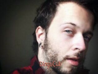 DingoCub