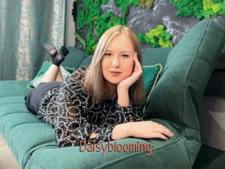 Daisyblooming