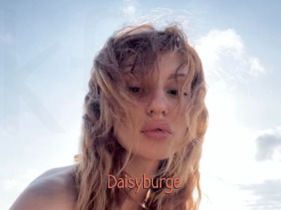 Daisyburge