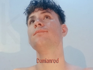 damianrod Kachou Fuzoku