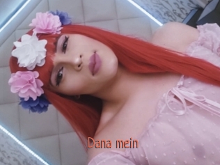 Dana_mein