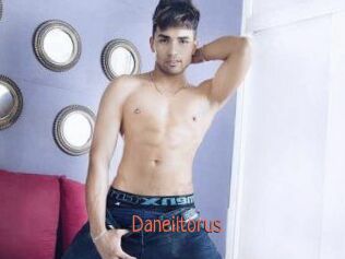 Daneil_torus