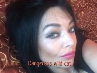 Dangerous_wild_cat