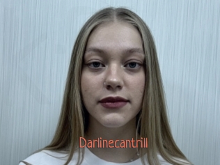 Darlinecantrill