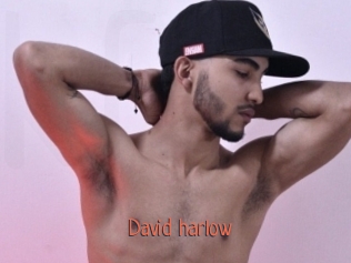 David_harlow