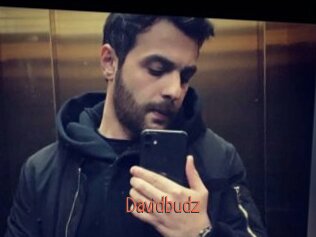 Davidbudz