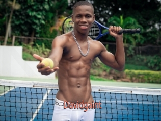 Davidgaint