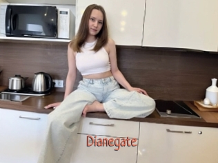 Dianegate