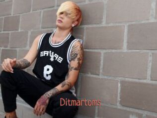 ditmartoms Kachou Fuzoku