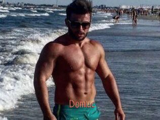 Domluc