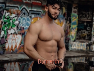 Donmerlin