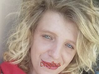 Dragibus