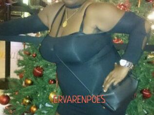 ERVARENPOES