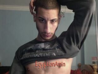 EgyptianAmin