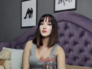 EvaBrix