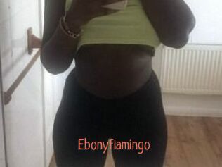 Ebony_flamingo