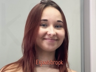 Elgaalsbrook