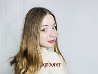 Elgaborer