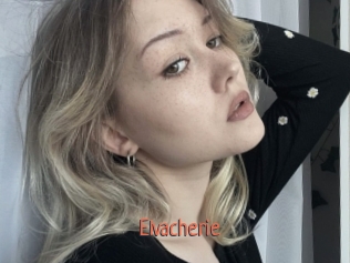 Elvacherie