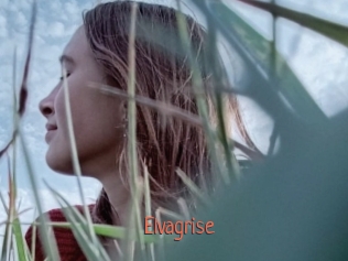 Elvagrise