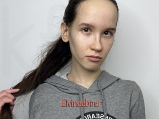 Elvinaabner