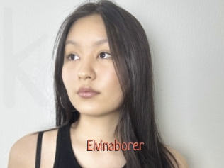 Elvinaborer