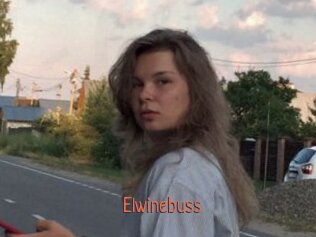 Elwinebuss