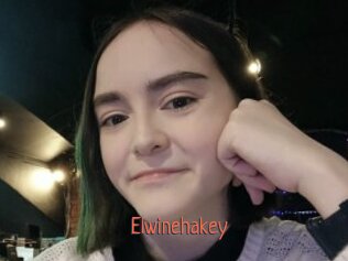 Elwinehakey