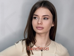 Elwinehessel