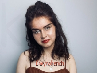 Elwynabench