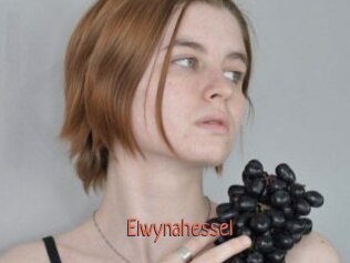 Elwynahessel